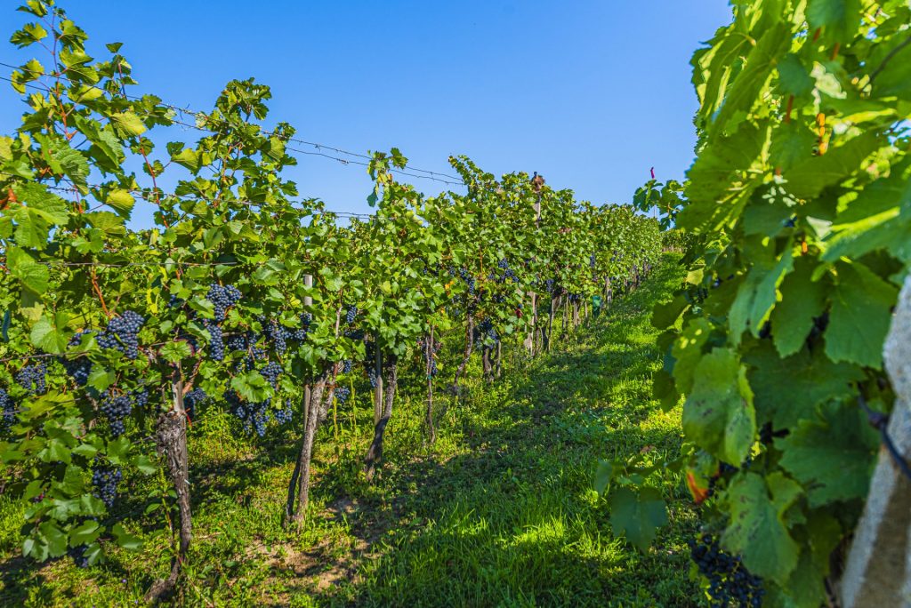 _dsc1722-hdr