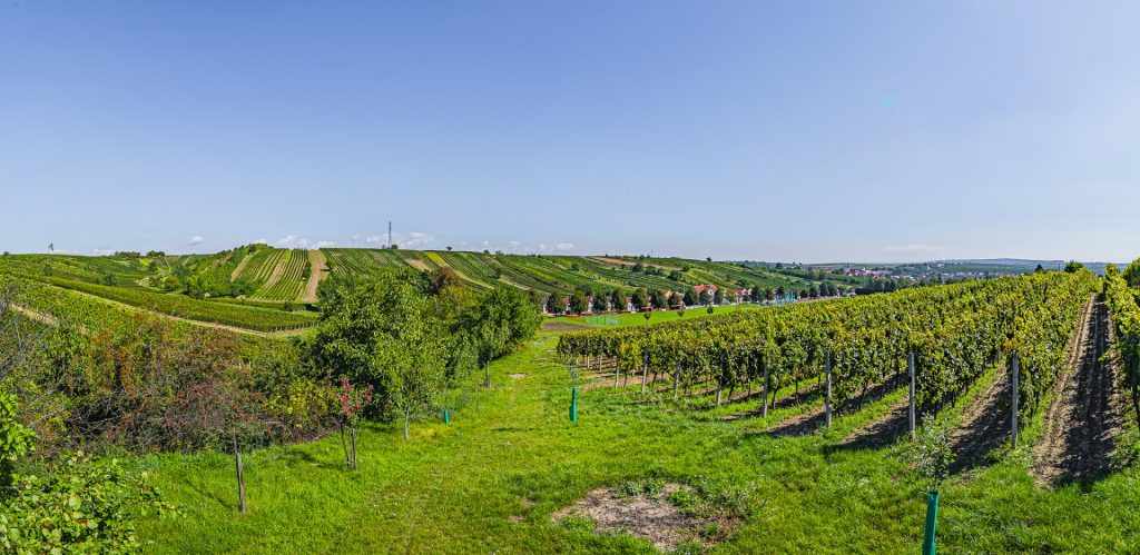 _dsc1992-hdr-pano